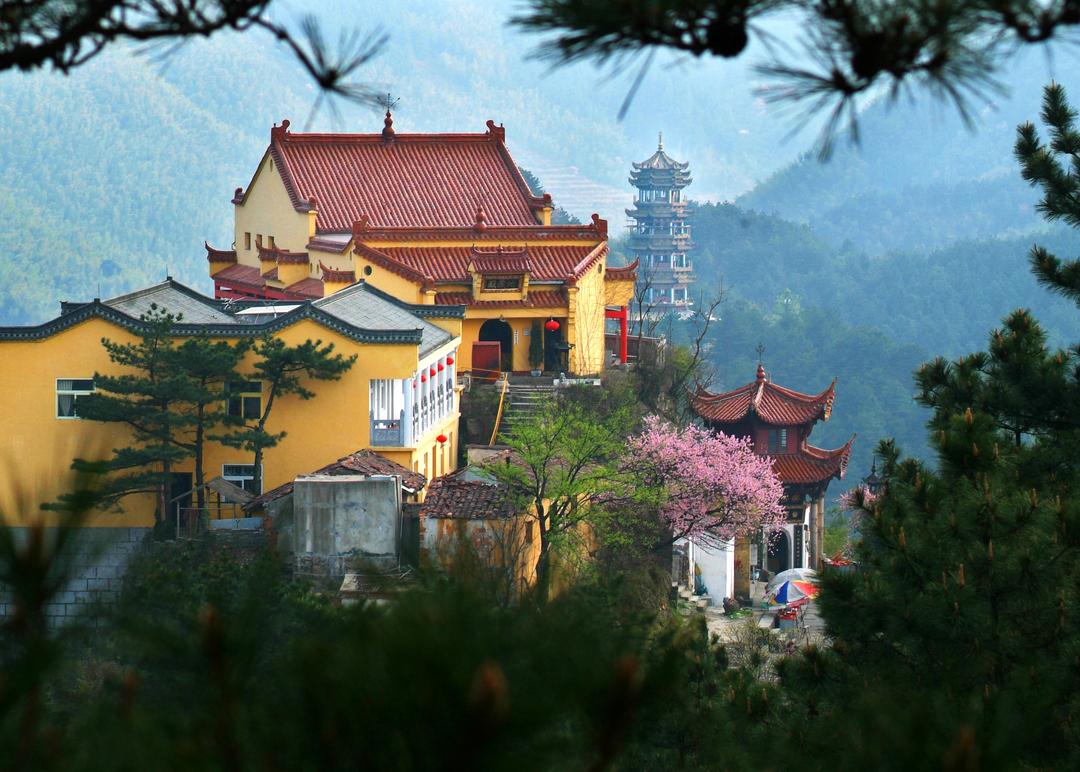 九华山旃檀林 | 新禅风
