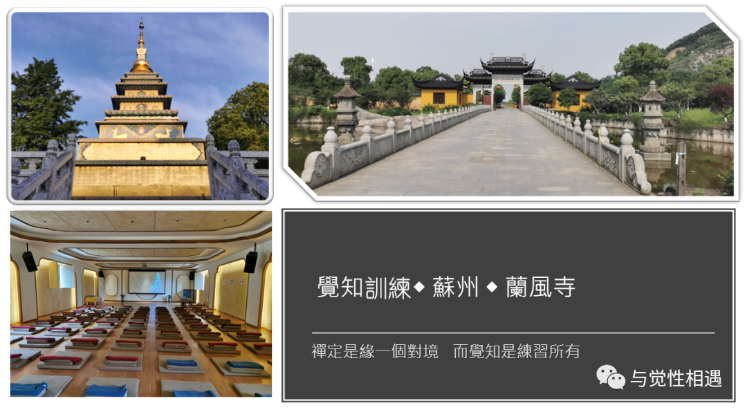 禅修丨江苏蘇州蘭風寺2021年7月覺知訓練