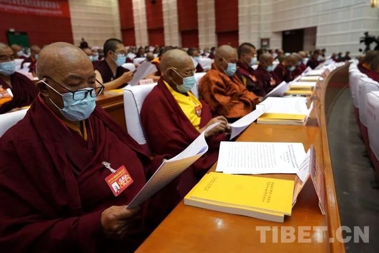 引领藏传佛教健康发展 推进藏传佛教中国化