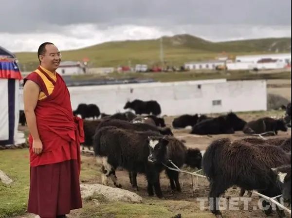 班禅重返故乡那曲：体察藏北民情 关注牧区生态