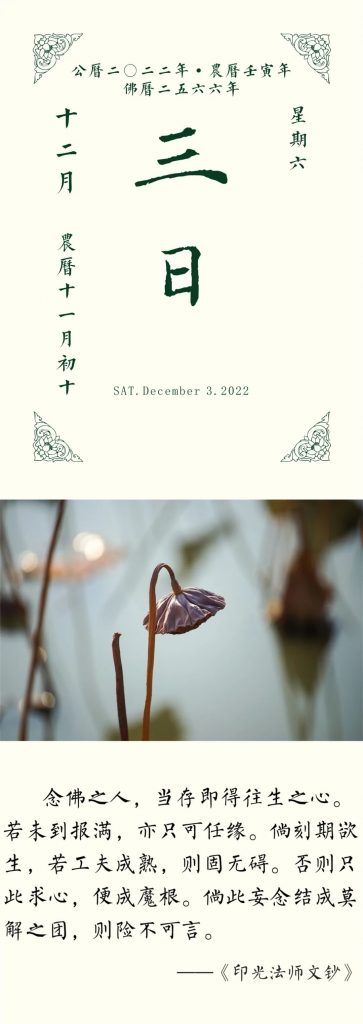 冬月初十 | 念佛之人，若未到报满，亦只可任缘