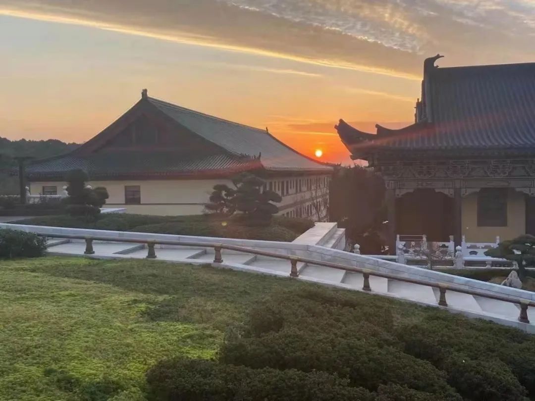 【佛经故事】愚笨的周利槃特证得圣果 | 新禅风