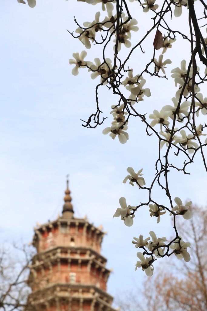 惟我独尊：原意并非妄自尊大丨成语与佛教文化