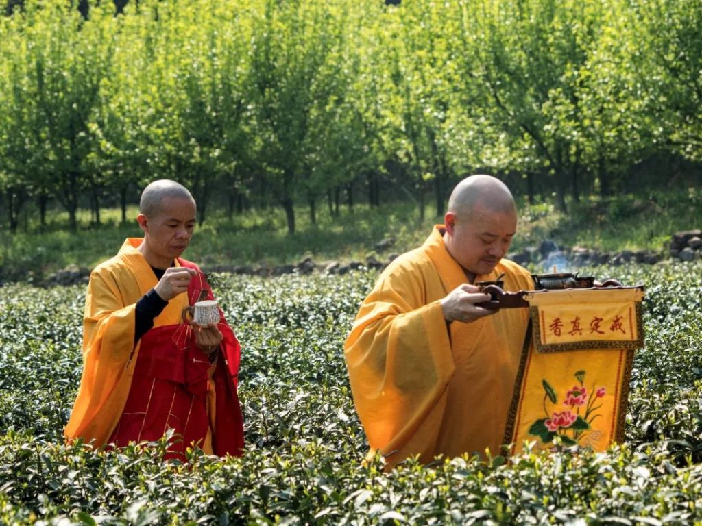新闻｜2023法净禅茶开茶节在杭州佛学院举行