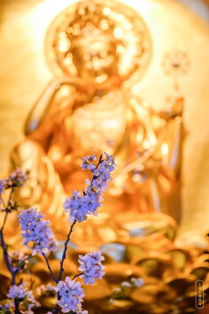 做好事真的有好报！这十种“好事”要多做