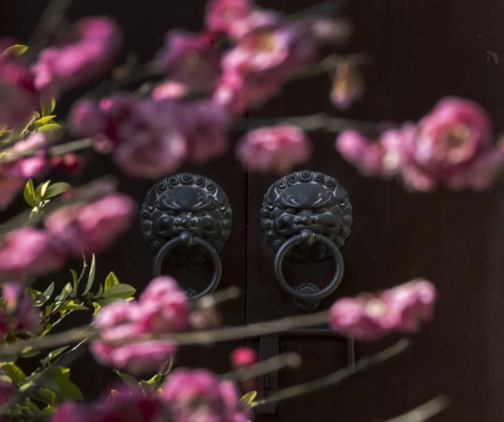 隐踪巡觅｜学佛的人吃了亏吗？