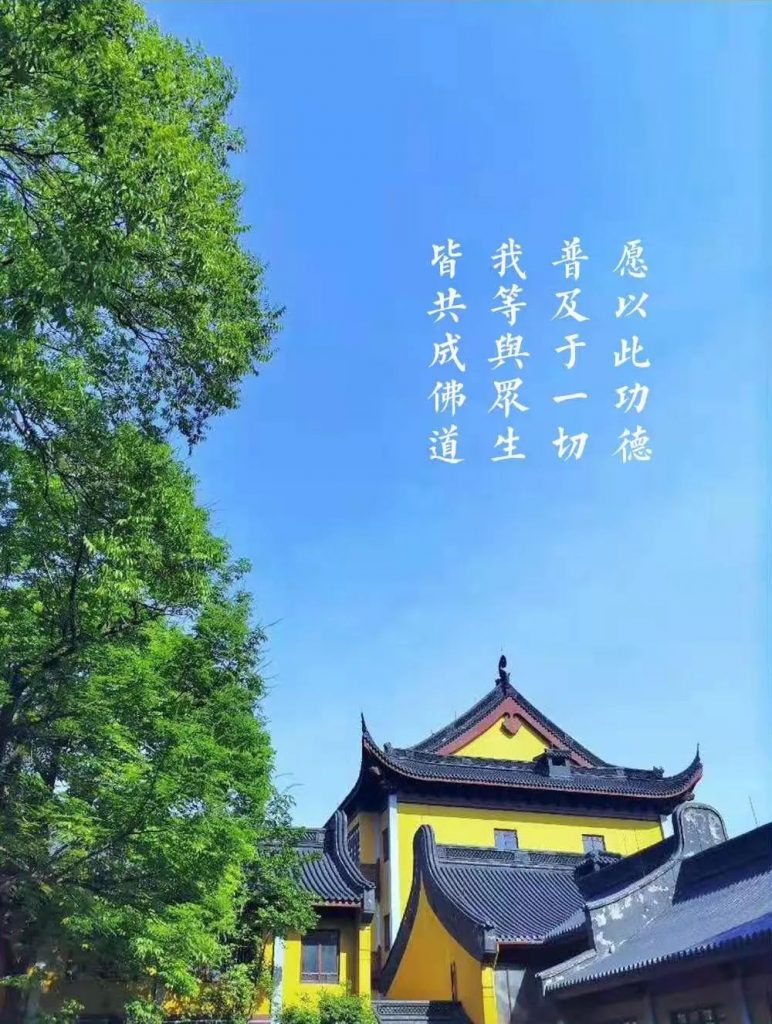 隐踪巡觅｜学佛的人吃了亏吗？