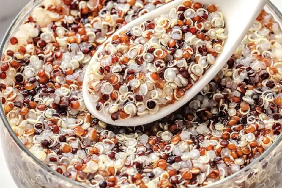 佛事盛会 全新再启 | 1200+企业强势回归！厦门佛事用品展全剧透，建议收藏