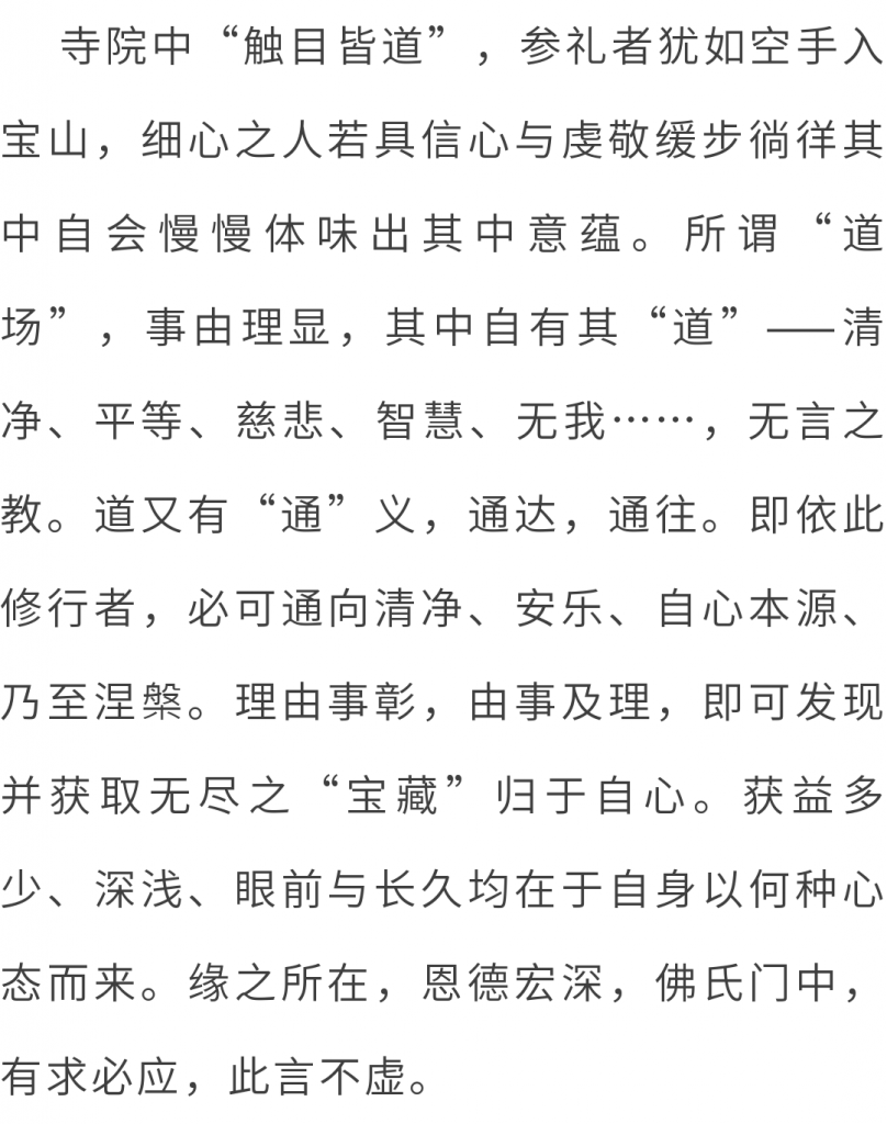 万水朝东 众响同音 | 佛七，把心带回“家”