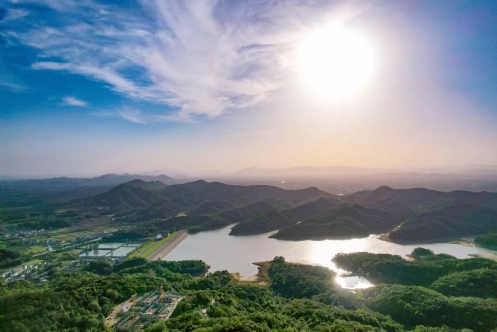 万水朝东 众响同音 | 佛七，把心带回“家”