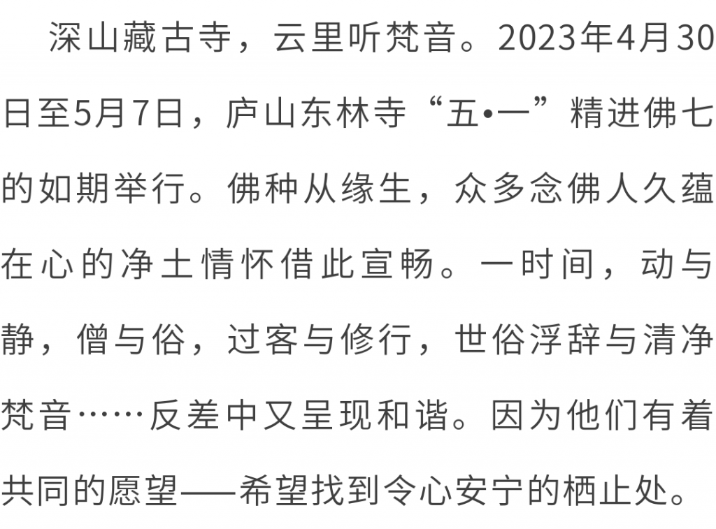 万水朝东 众响同音 | 佛七，把心带回“家”