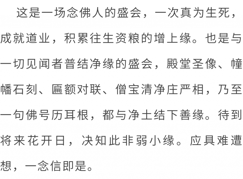 万水朝东 众响同音 | 佛七，把心带回“家”