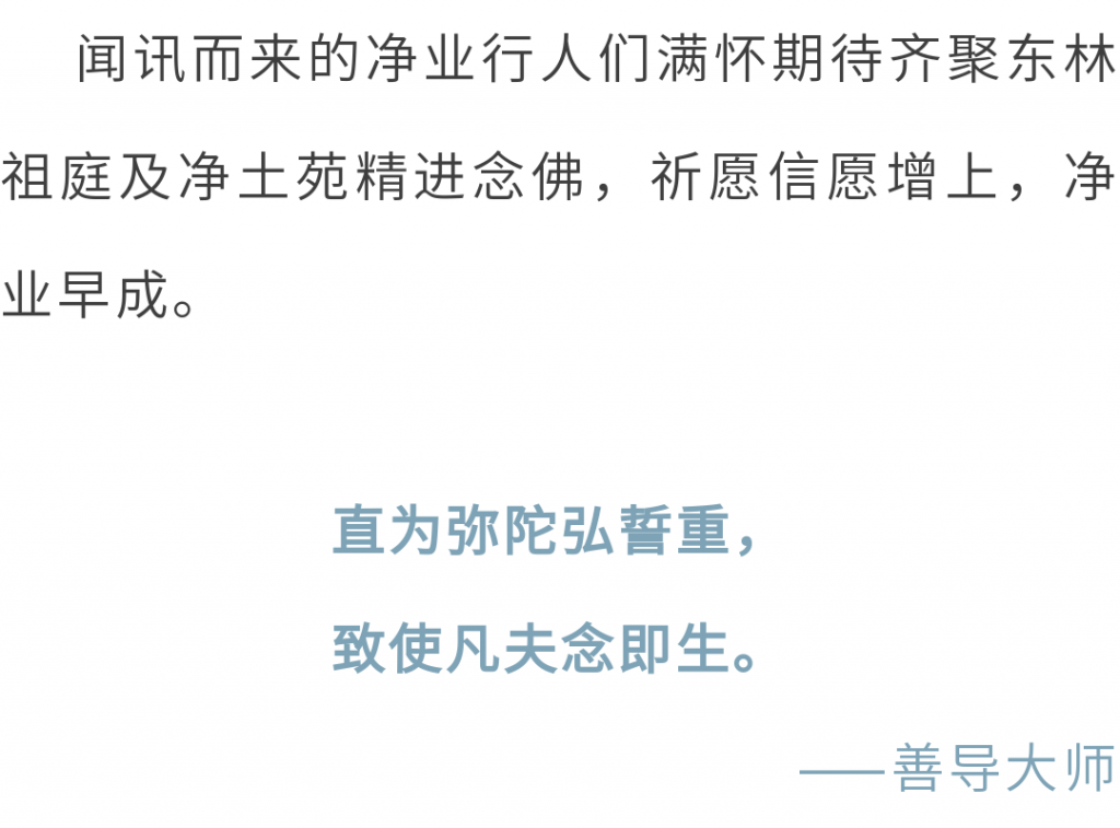 万水朝东 众响同音 | 佛七，把心带回“家”