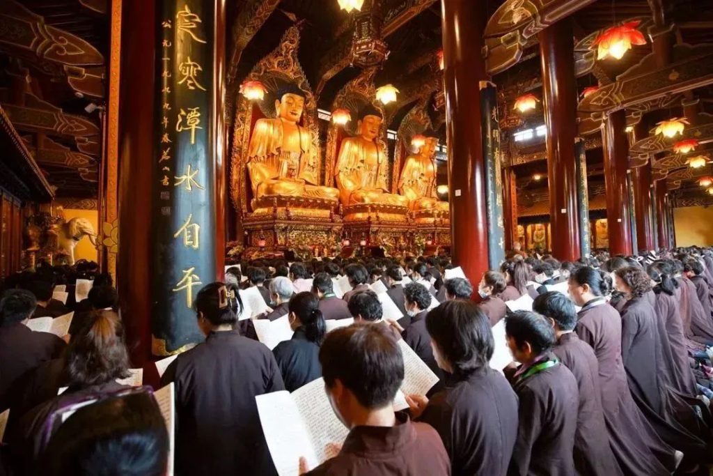 万水朝东 众响同音 | 佛七，把心带回“家”