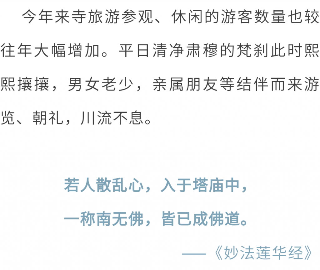 万水朝东 众响同音 | 佛七，把心带回“家”