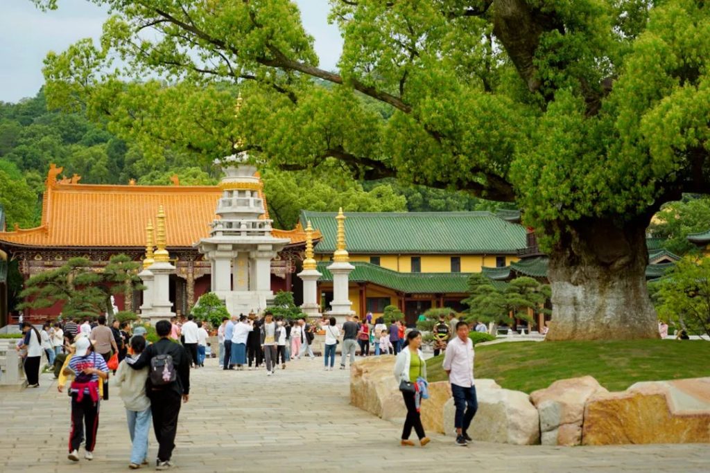 万水朝东 众响同音 | 佛七，把心带回“家”