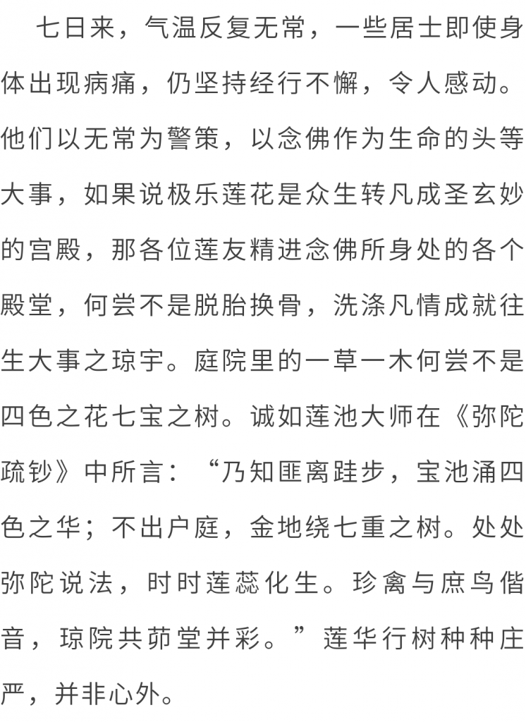 万水朝东 众响同音 | 佛七，把心带回“家”