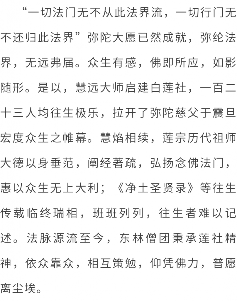 万水朝东 众响同音 | 佛七，把心带回“家”