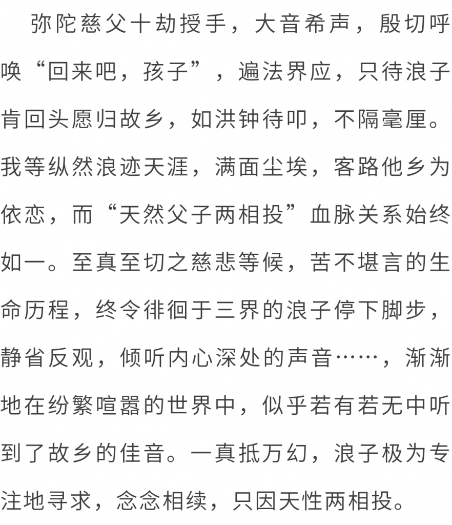 万水朝东 众响同音 | 佛七，把心带回“家”