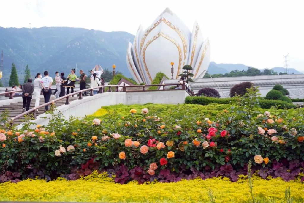 万水朝东 众响同音 | 佛七，把心带回“家”