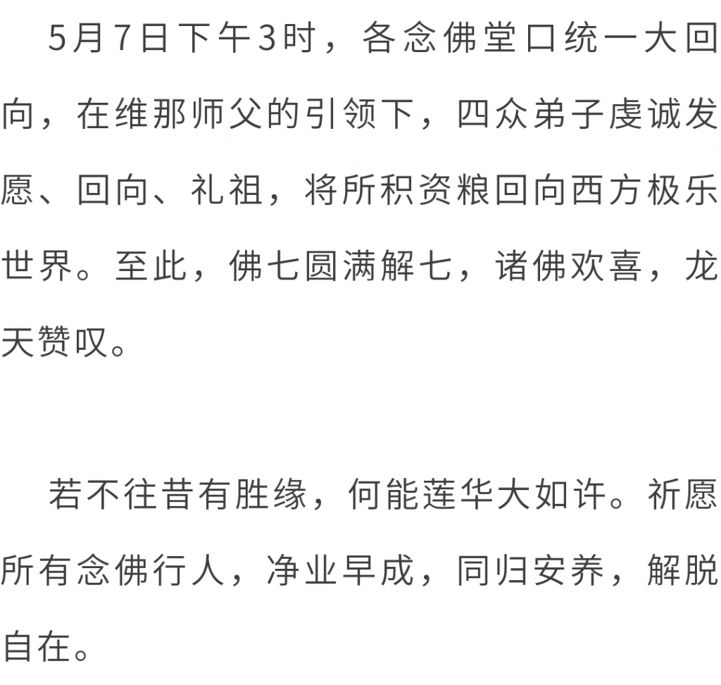 万水朝东 众响同音 | 佛七，把心带回“家”