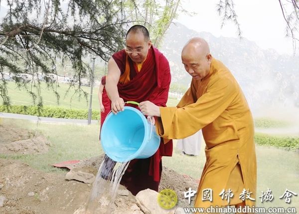 齐心共谋藏传佛教健康发展 聚力共促藏传佛教有序传承--中国佛教协会第十届理事会藏传佛教工作委员会第一次会议在京召开