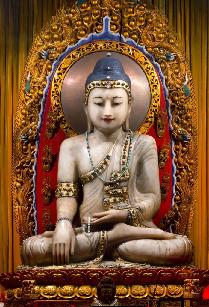 学修在玉佛，行路于名山丨普陀山朝圣纪行