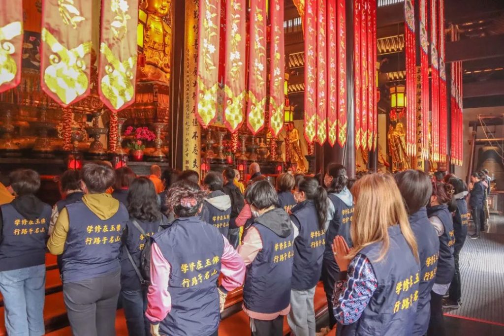 学修在玉佛，行路于名山丨普陀山朝圣纪行