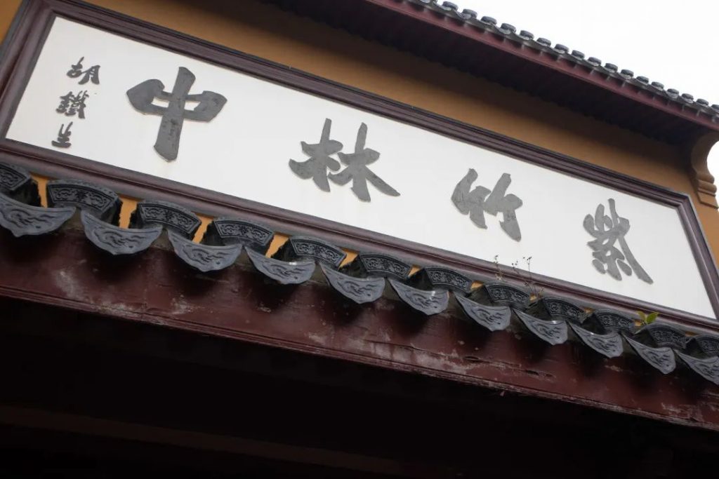 学修在玉佛，行路于名山丨普陀山朝圣纪行