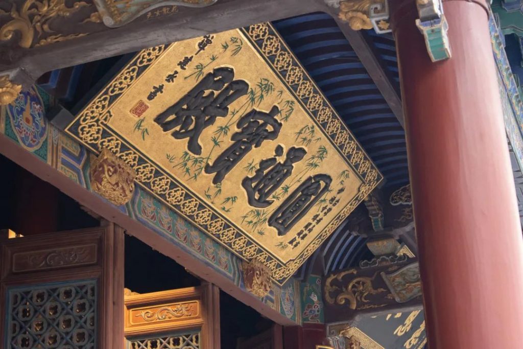 学修在玉佛，行路于名山丨普陀山朝圣纪行