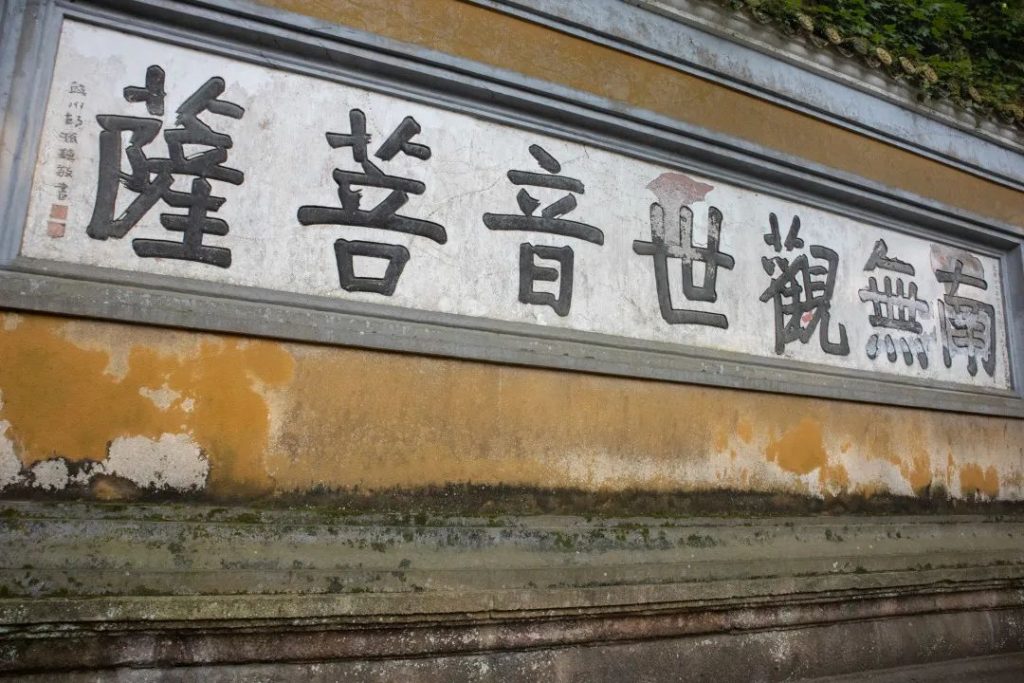 学修在玉佛，行路于名山丨普陀山朝圣纪行