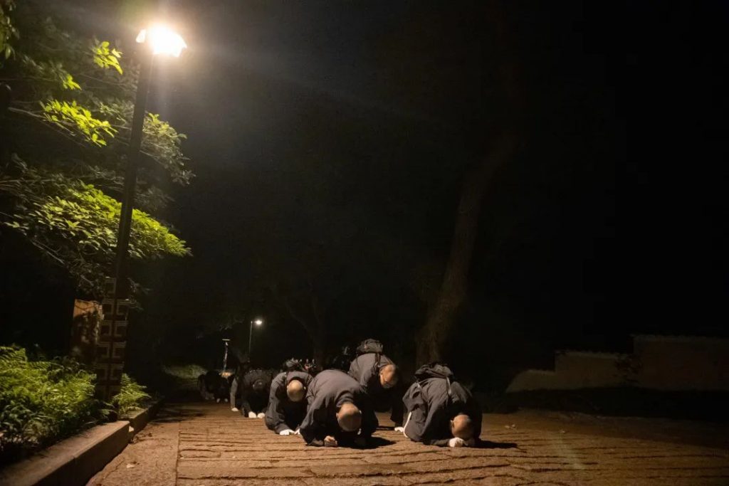 学修在玉佛，行路于名山丨普陀山朝圣纪行