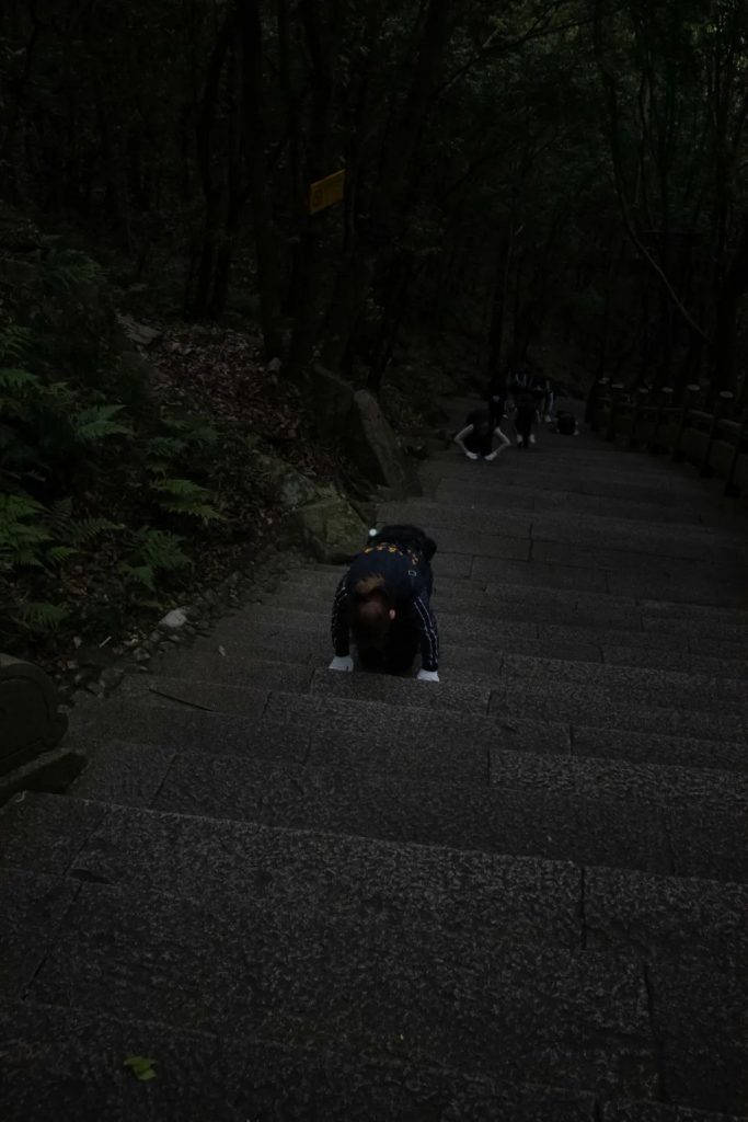 学修在玉佛，行路于名山丨普陀山朝圣纪行