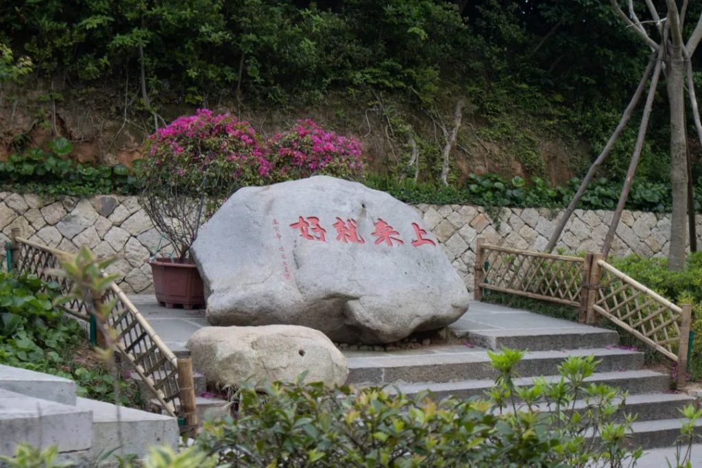 学修在玉佛，行路于名山丨普陀山朝圣纪行