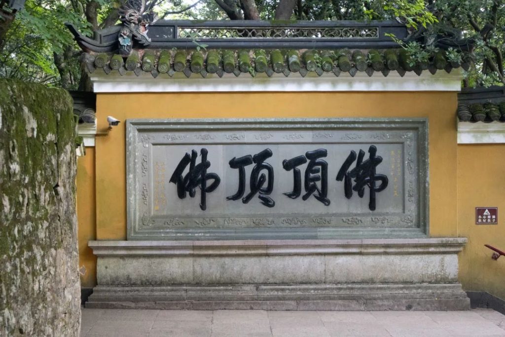 学修在玉佛，行路于名山丨普陀山朝圣纪行