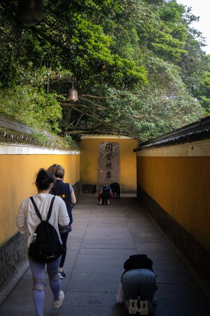 学修在玉佛，行路于名山丨普陀山朝圣纪行