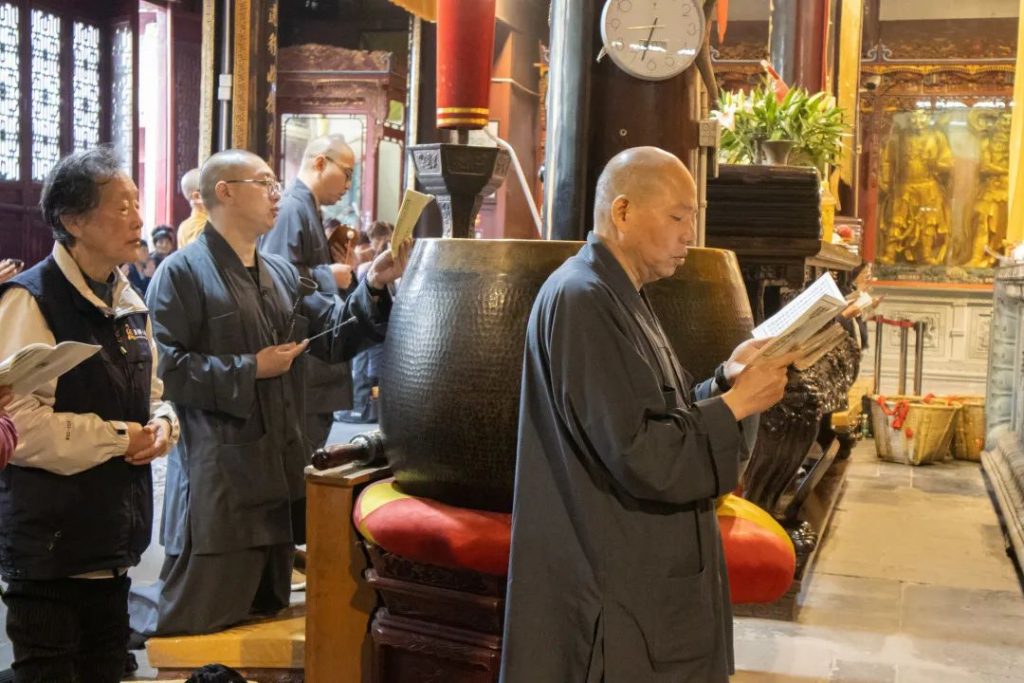 学修在玉佛，行路于名山丨普陀山朝圣纪行