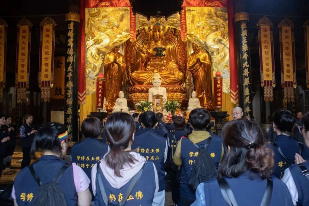 学修在玉佛，行路于名山丨普陀山朝圣纪行