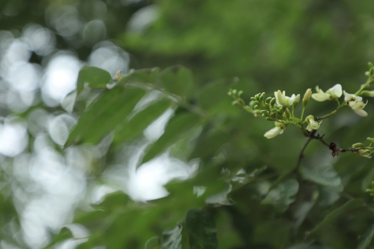 人生八苦| 新禅风