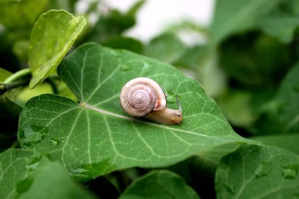 我们为什么要修行？