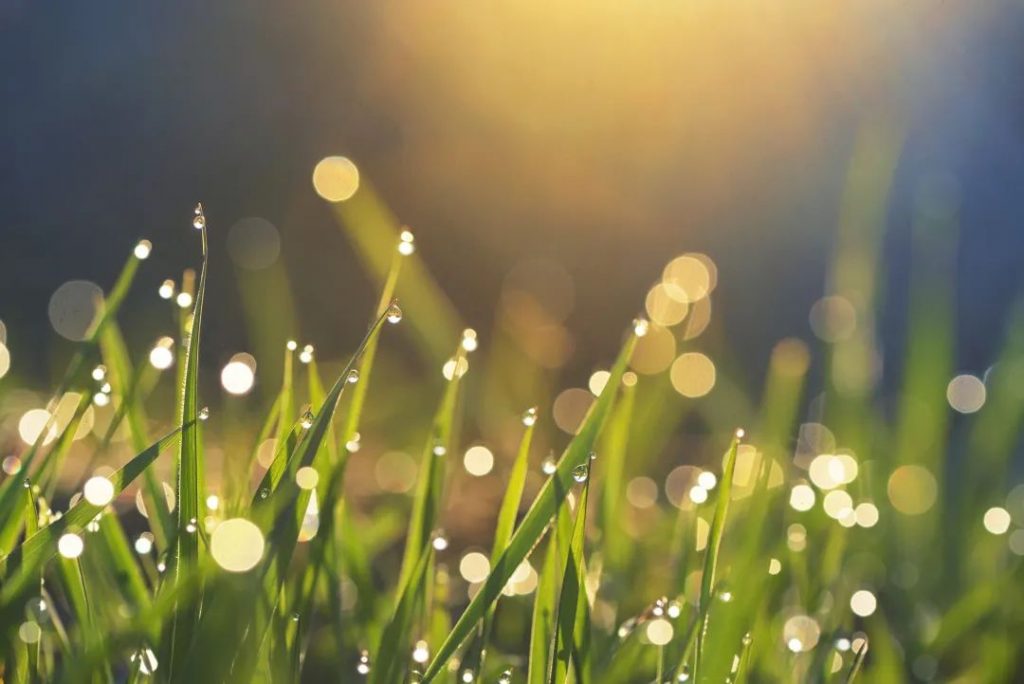 我们为什么要修行？