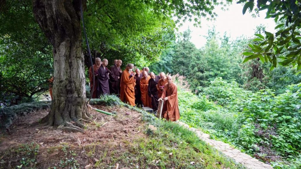 各寺院正式进入结夏安居模式！你知道“结夏安居”的意义吗？