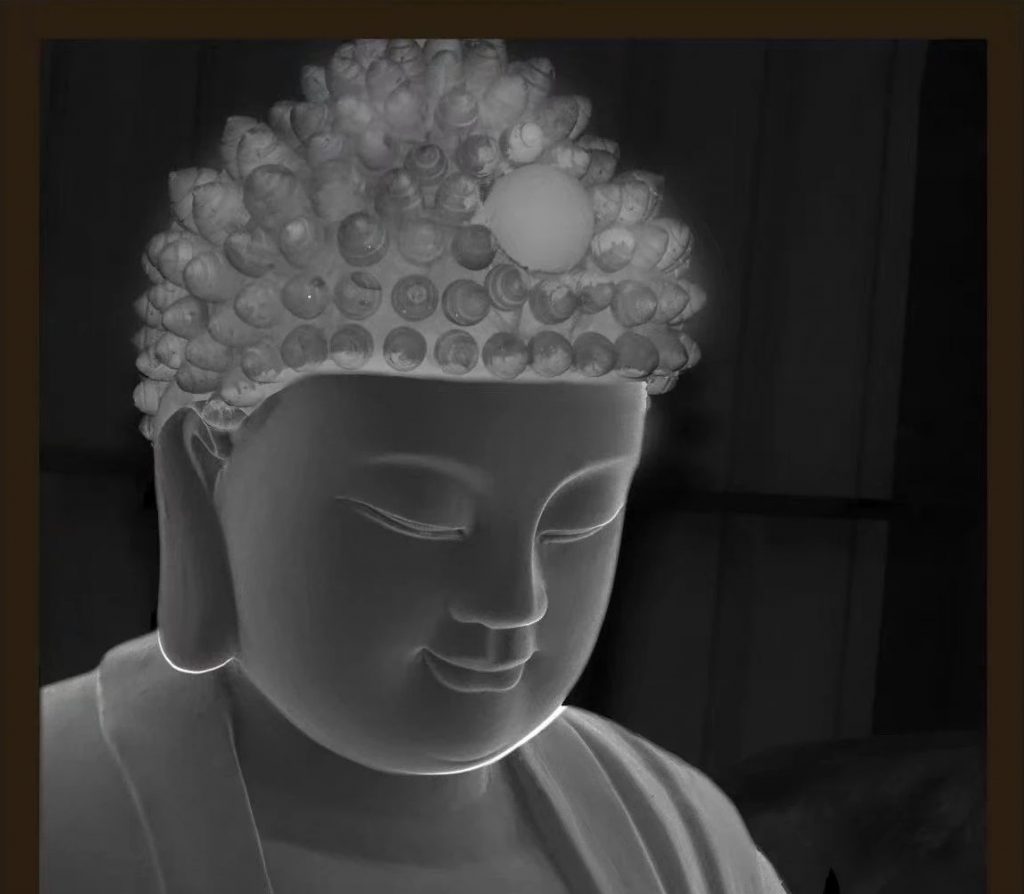 “常随佛学” 学什么？怎么学？