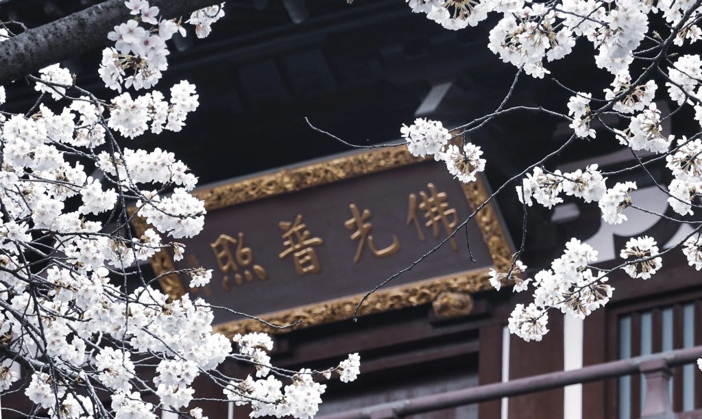 “常随佛学” 学什么？怎么学？