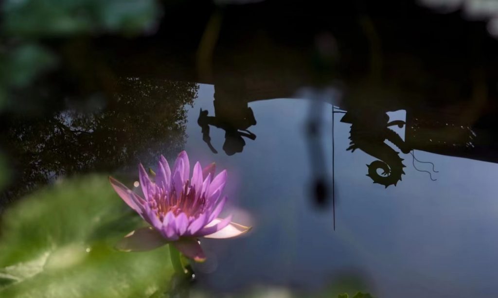 “常随佛学” 学什么？怎么学？