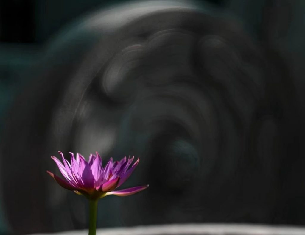 “常随佛学” 学什么？怎么学？