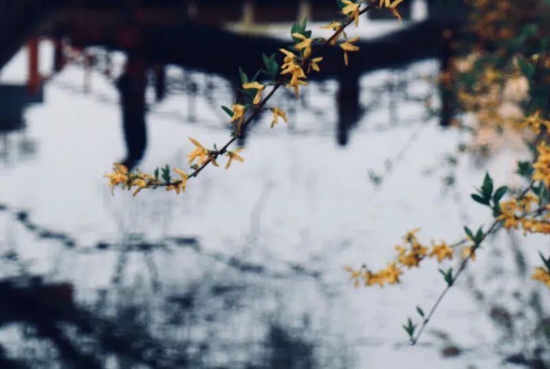 忏悔业障与转变业缘