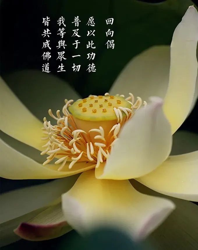 新闻｜“中国佛教讲经交流会”2023巡讲活动讲经法师行前座谈会在杭州灵隐寺举行