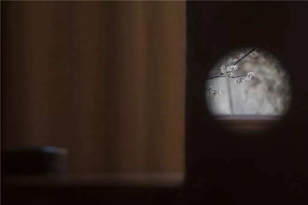 闻思心语 | 称量自己的学佛的“用心”