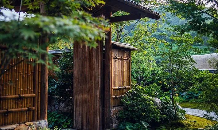 青山不碍白云飞